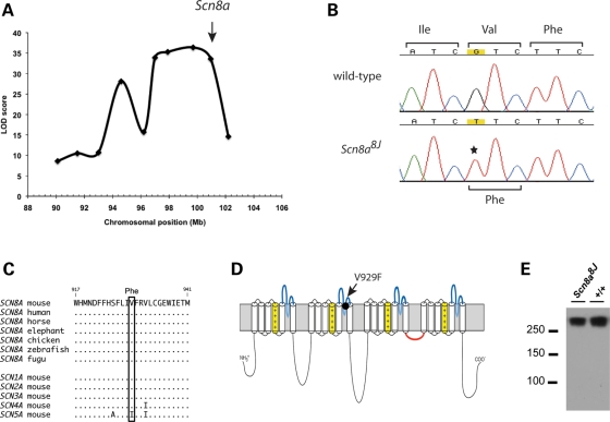 Figure 1.