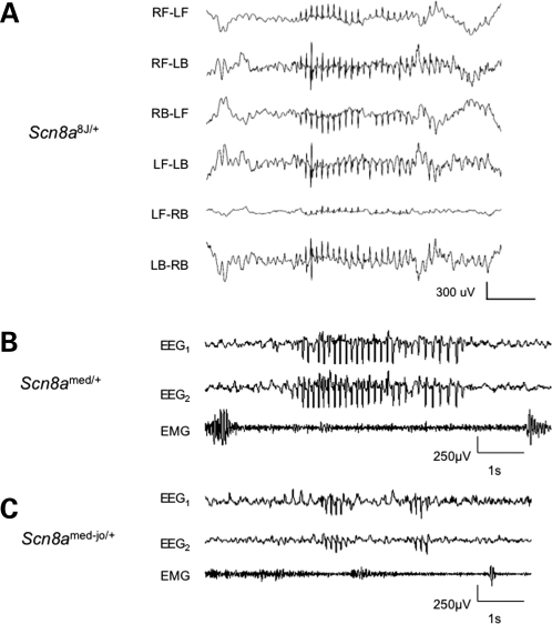 Figure 2.