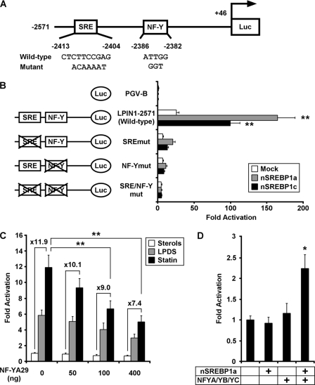 FIGURE 4.