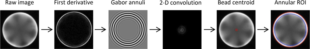 Fig. 5