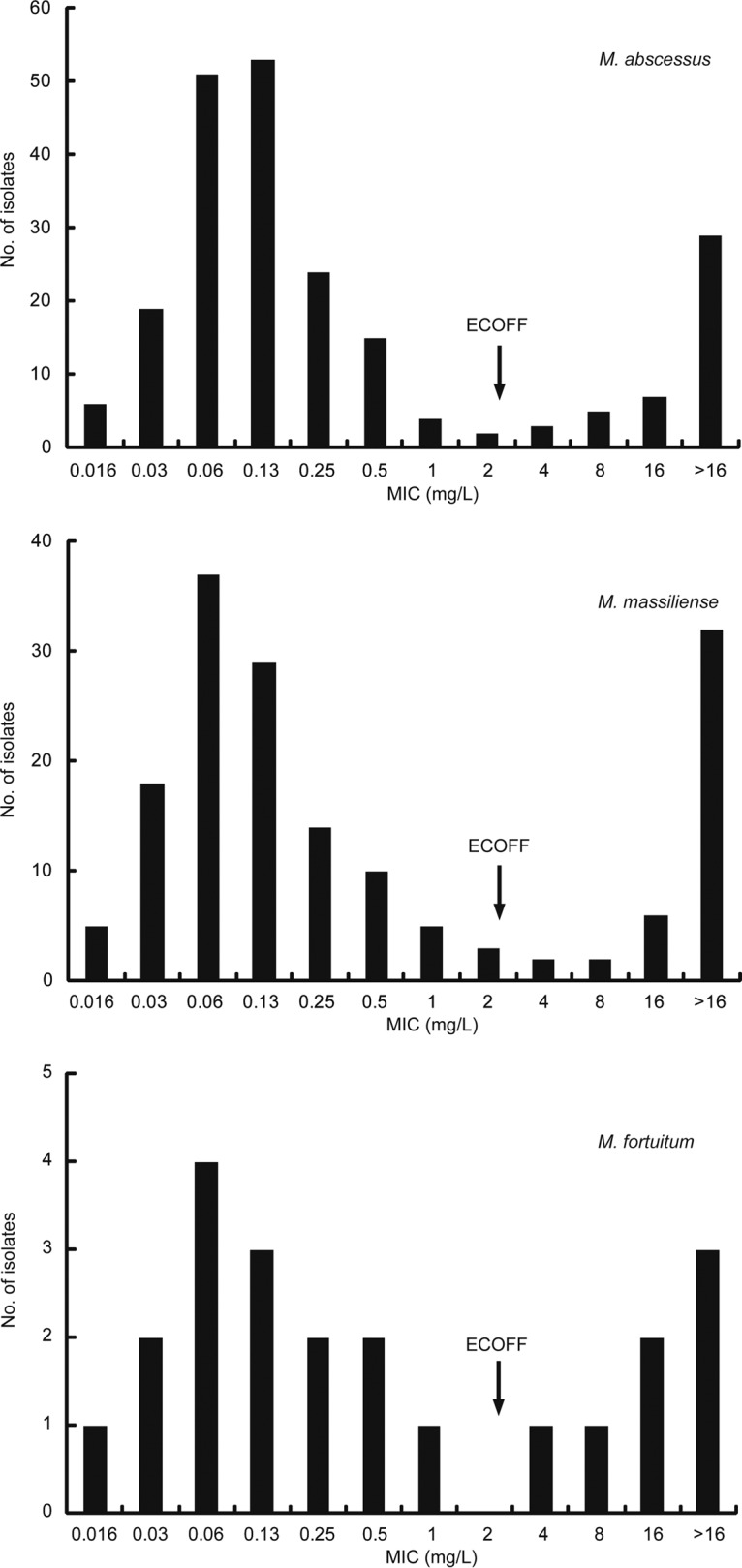 FIG 2