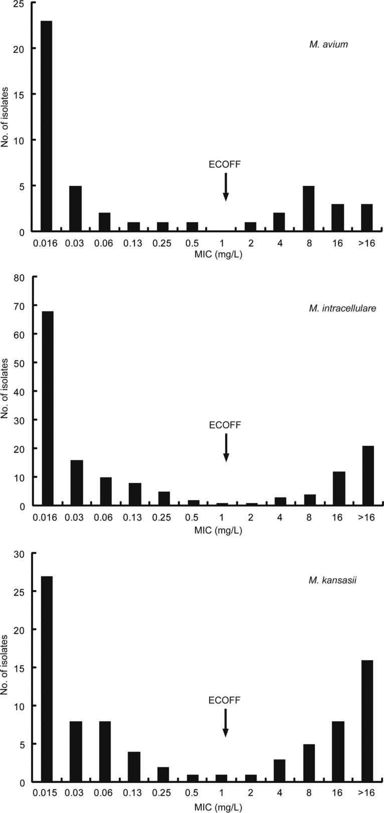 FIG 1