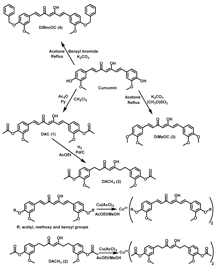 Scheme 1