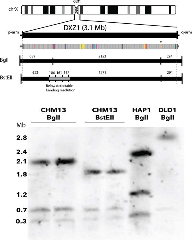 Extended Data Fig. 6