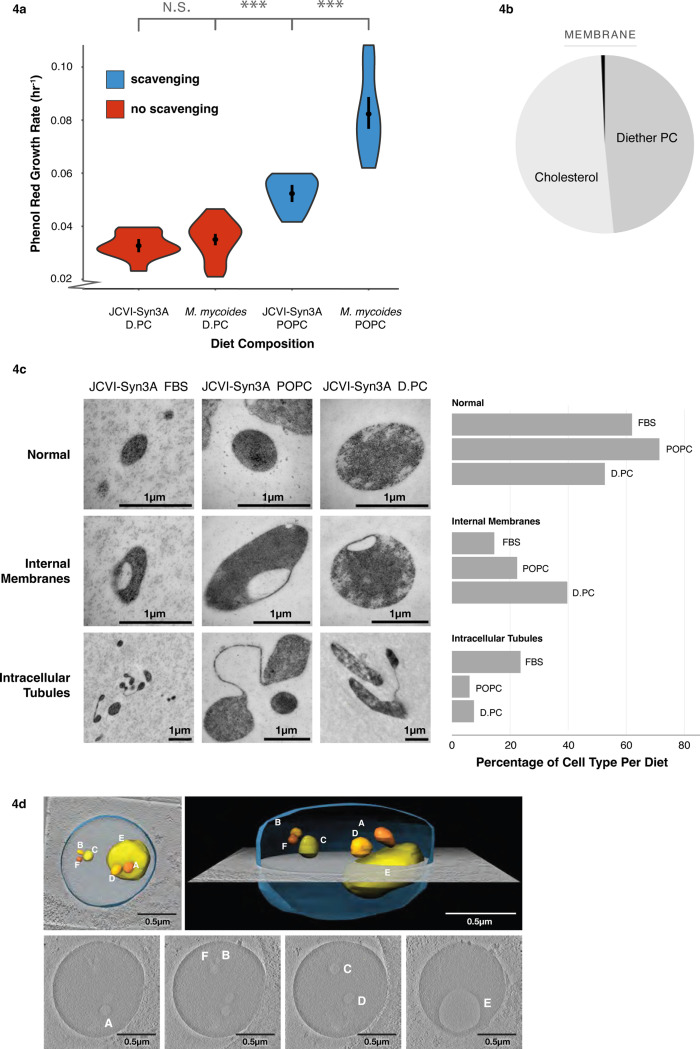 Figure 4: