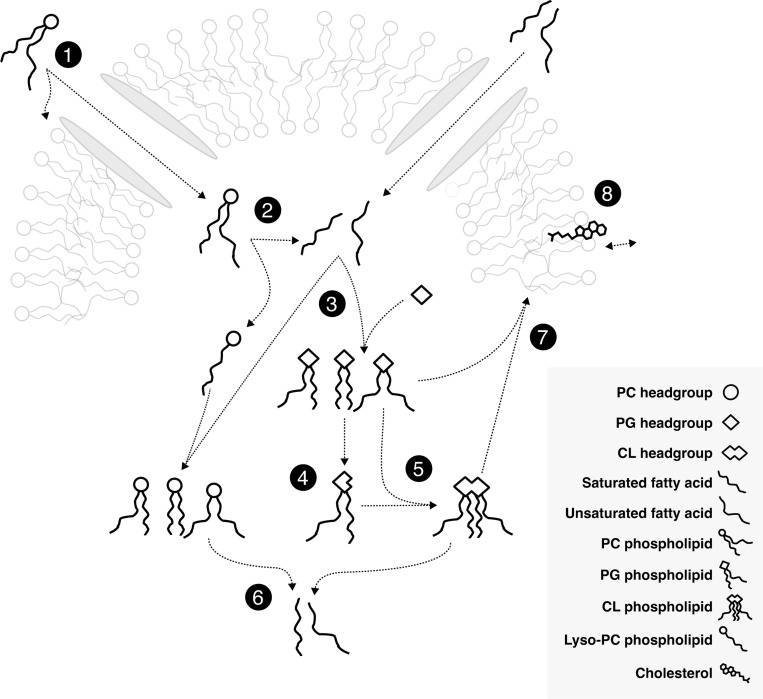 Figure 1: