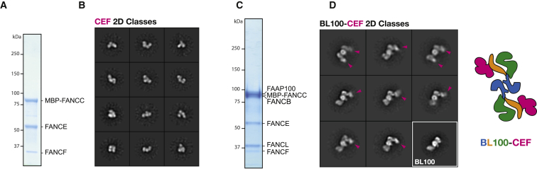 Figure 4