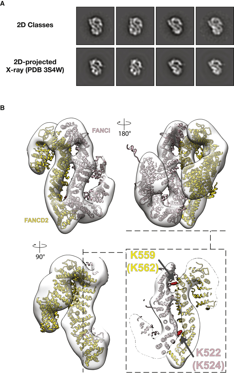 Figure 6