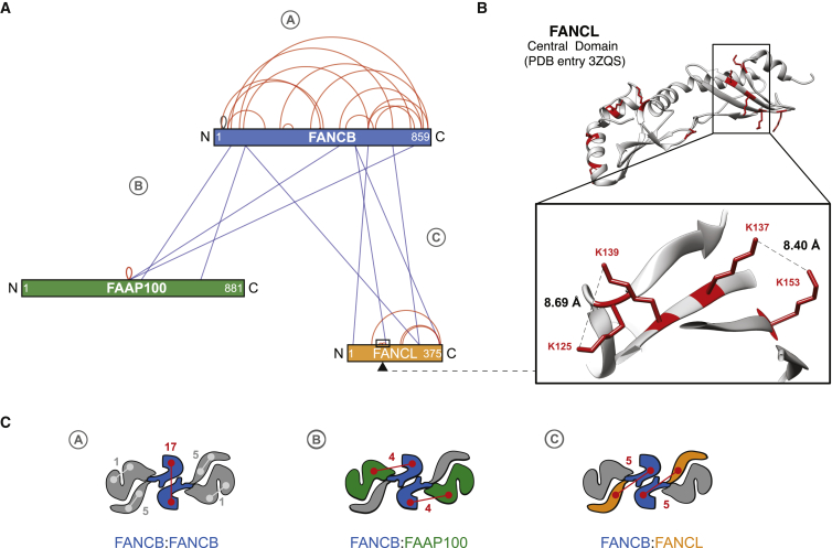 Figure 3