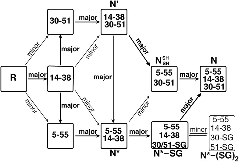 Fig. 5