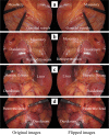 Fig. 4