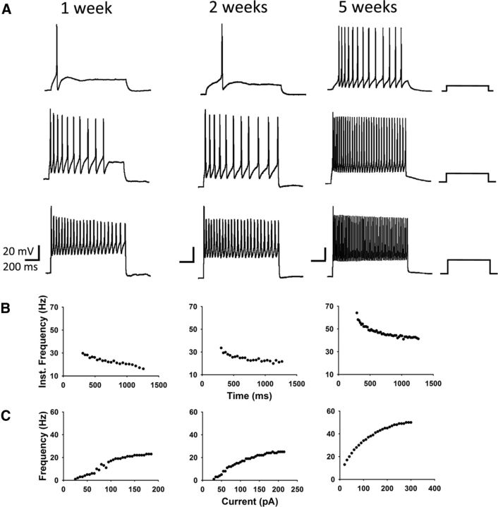 Figure 7.