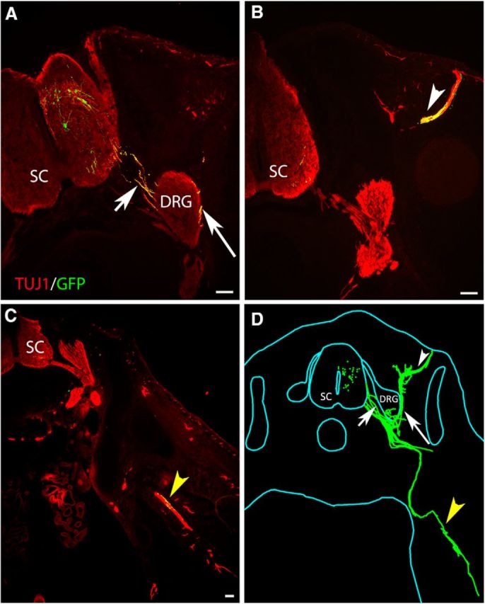 Figure 3.