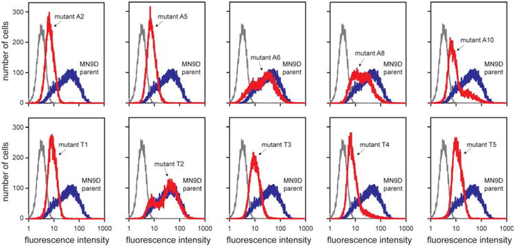 Figure 6