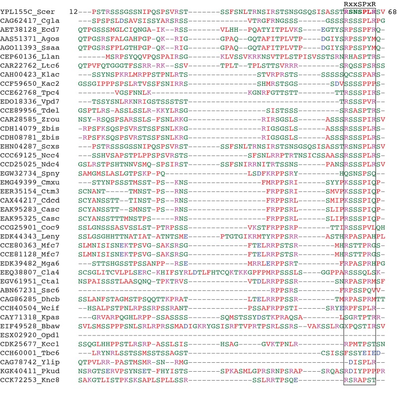 Figure 6—figure supplement 1.