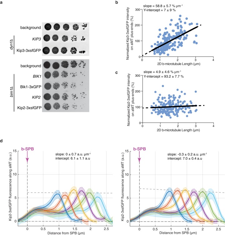 Figure 1—figure supplement 1.