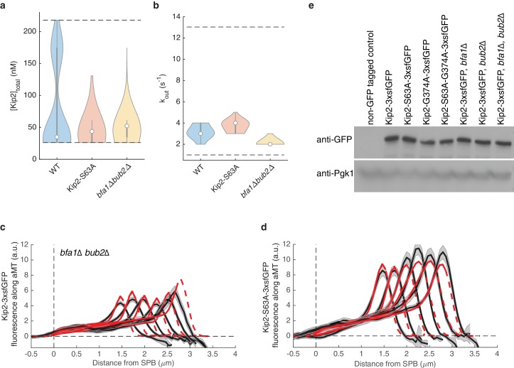 Figure 2—figure supplement 3.