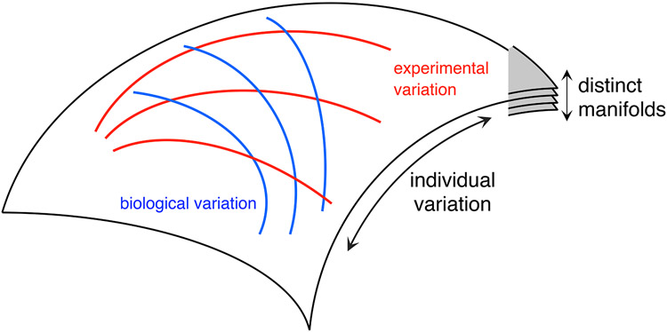 Figure 5: