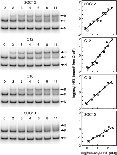 FIG. 6.