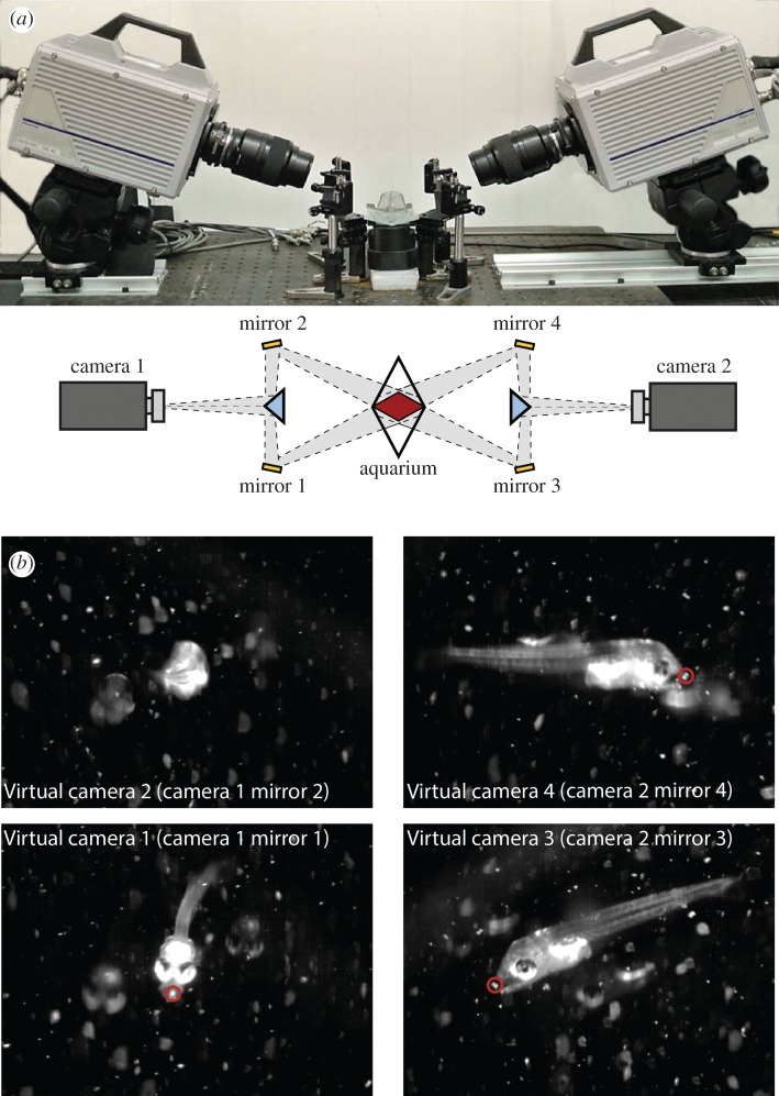 Figure 1.