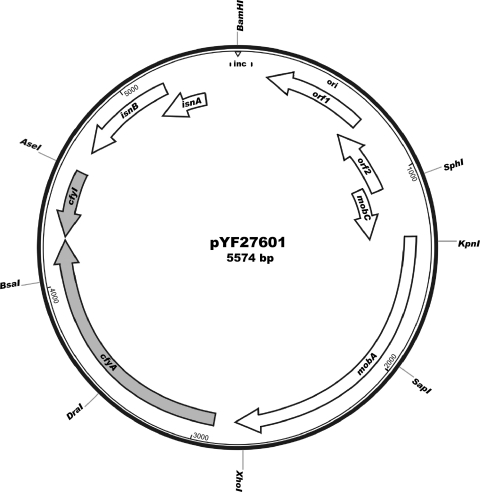 Fig 1