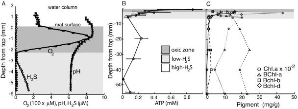 FIG. 1.