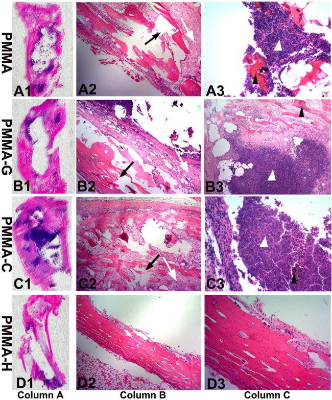 FIG 6