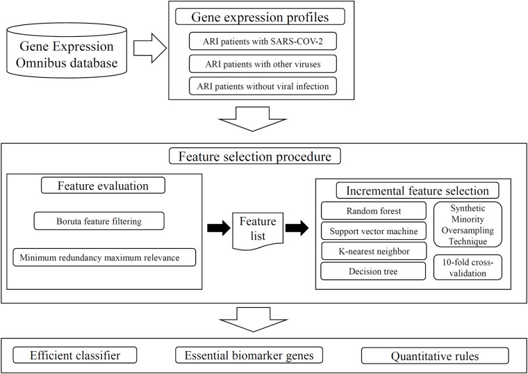 FIGURE 1