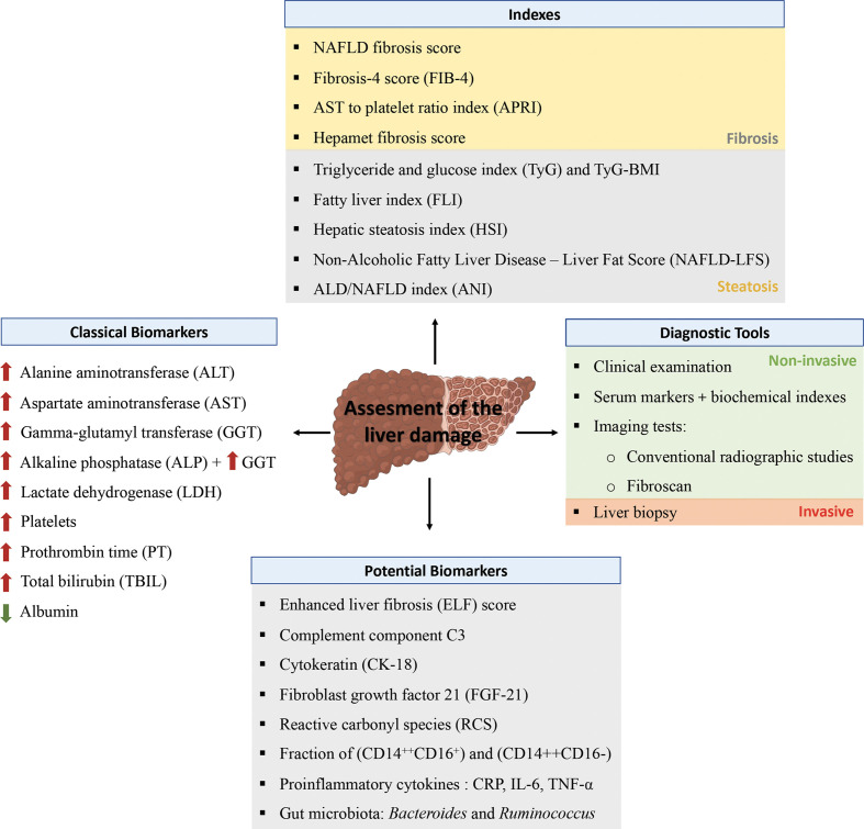 Figure 1