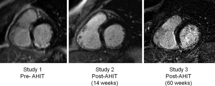 Figure 1