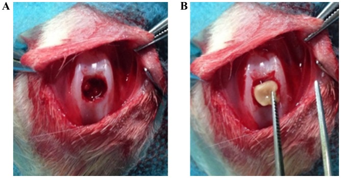 Figure 1.