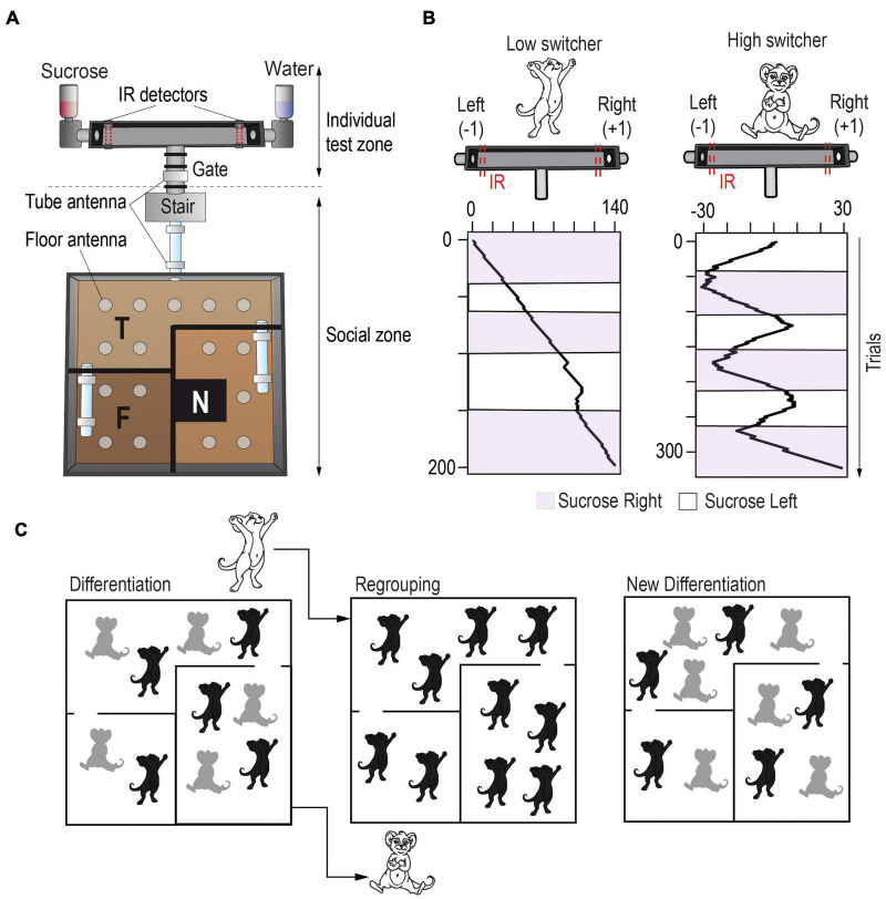 FIGURE 2