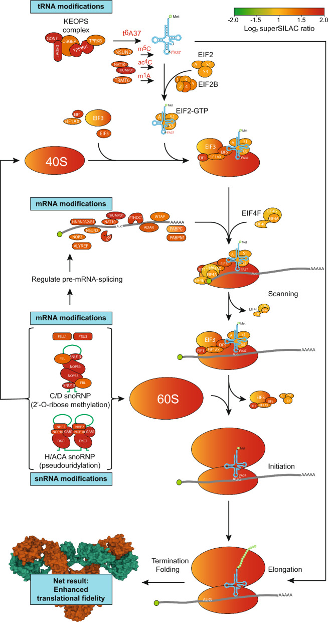 Fig. 2