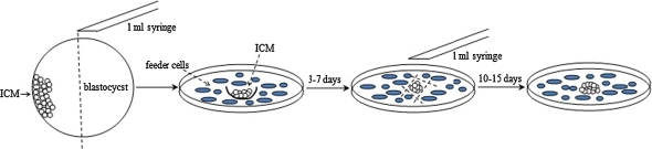 Fig. 1