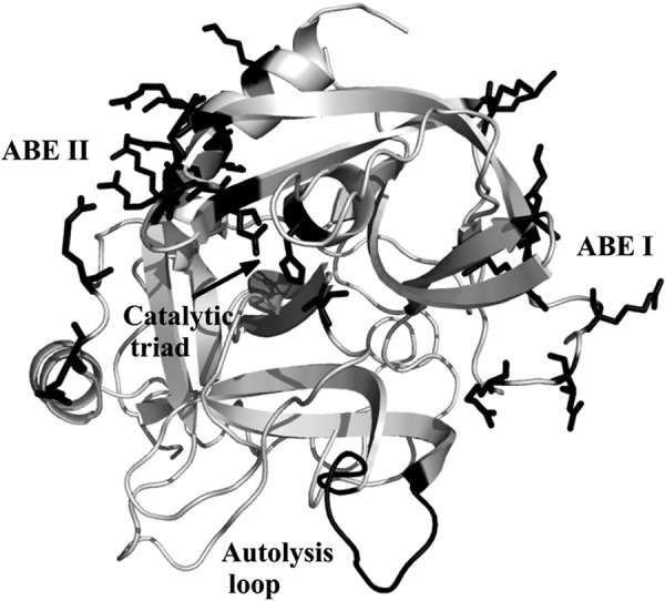 FIGURE 1.