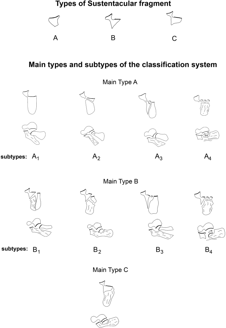 Fig. 1