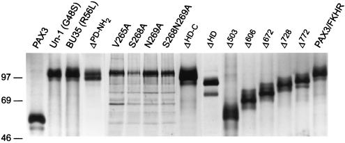 FIG. 5