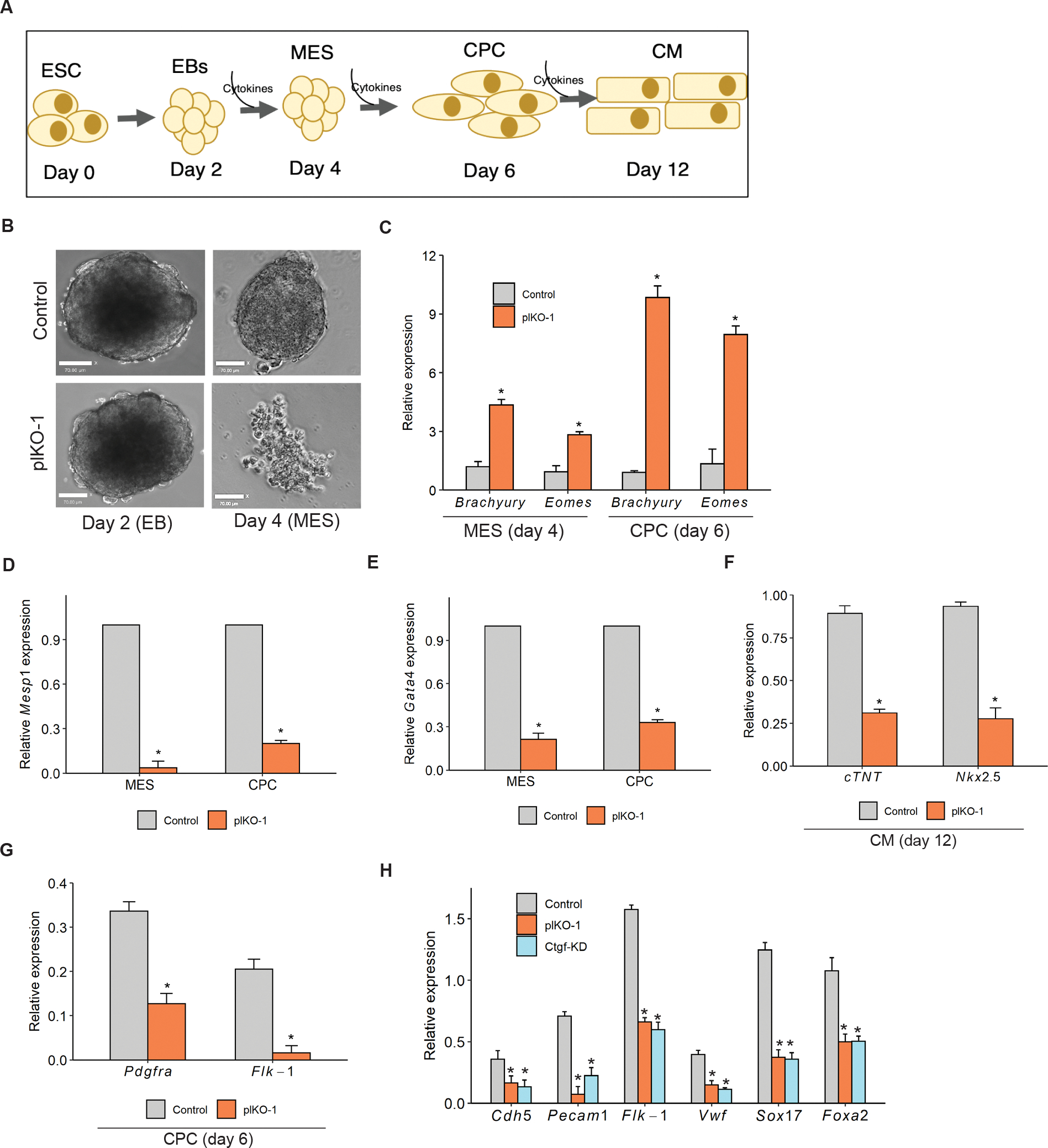 Figure 6: