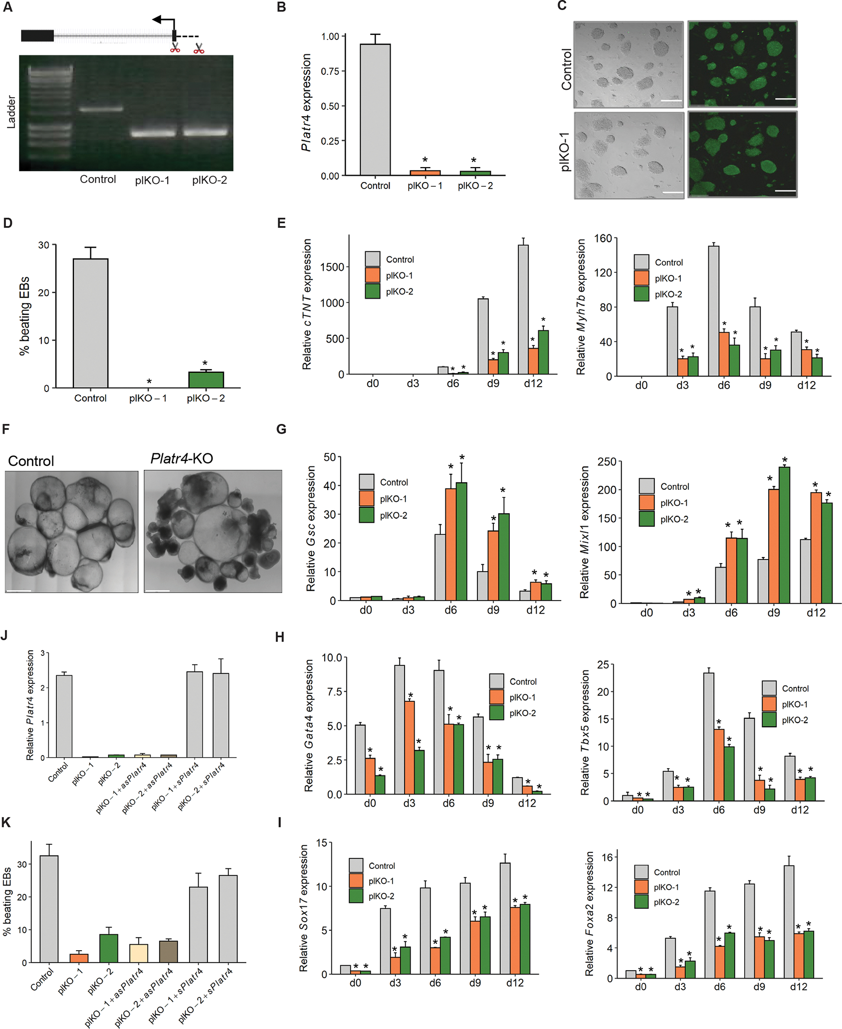 Figure 2 :