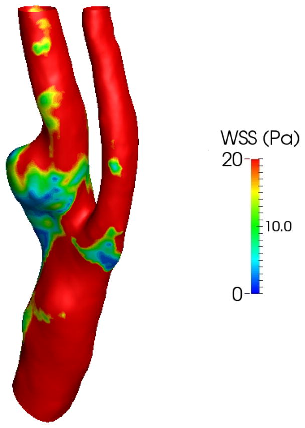 Figure 13