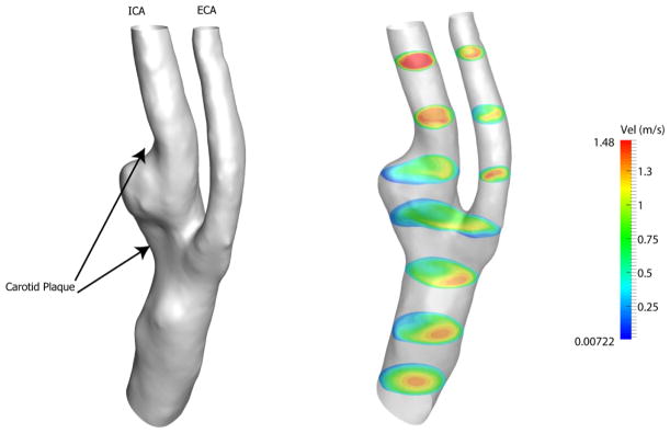 Figure 10