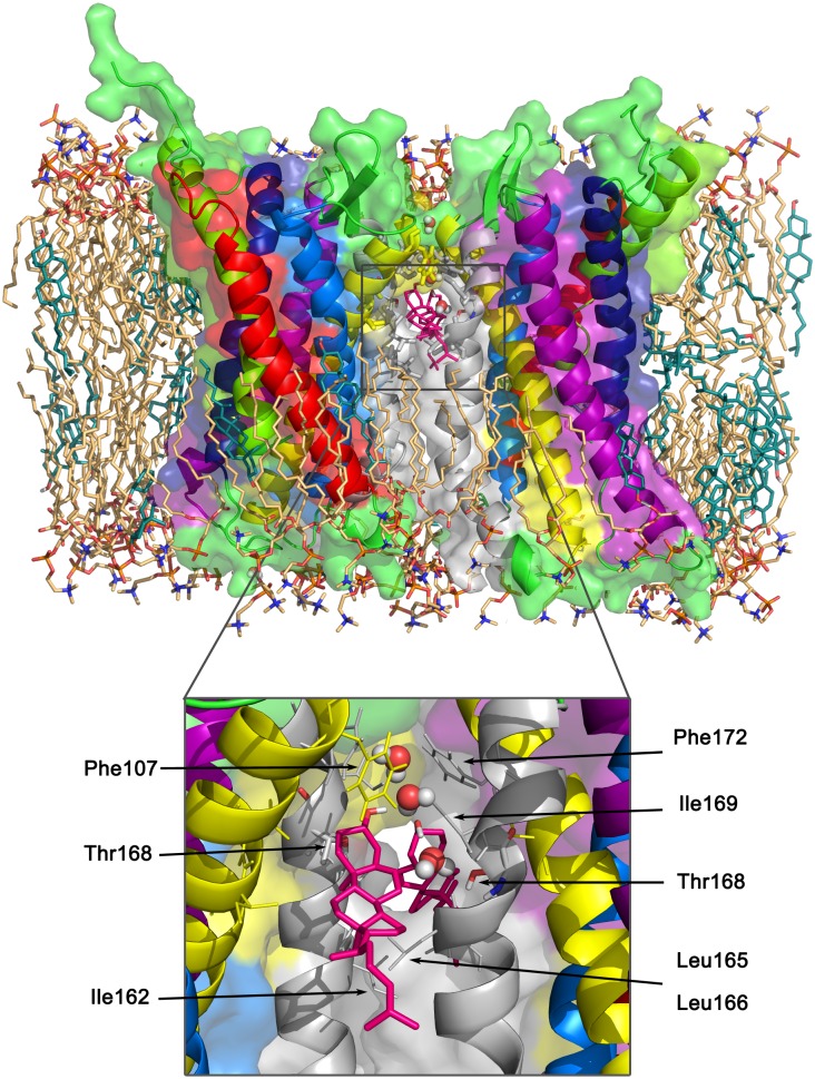 Fig 5