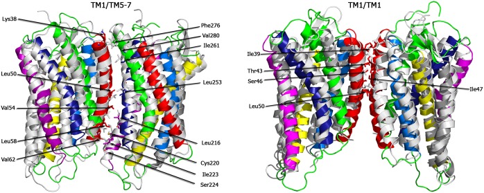 Fig 3