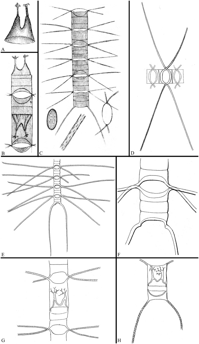 Fig 20