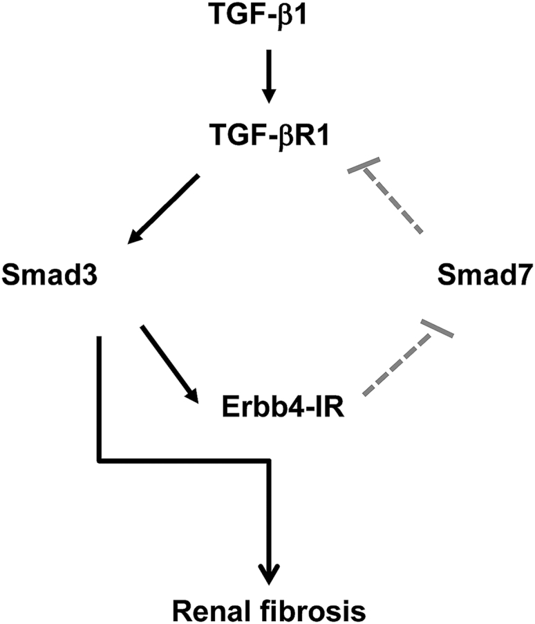 Figure 12