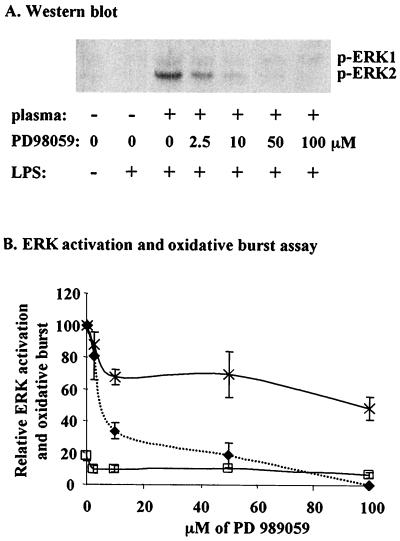 FIG. 5