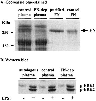 FIG. 6