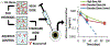 Fig. 5.