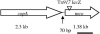 FIG. 1.