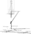 Figure 51: